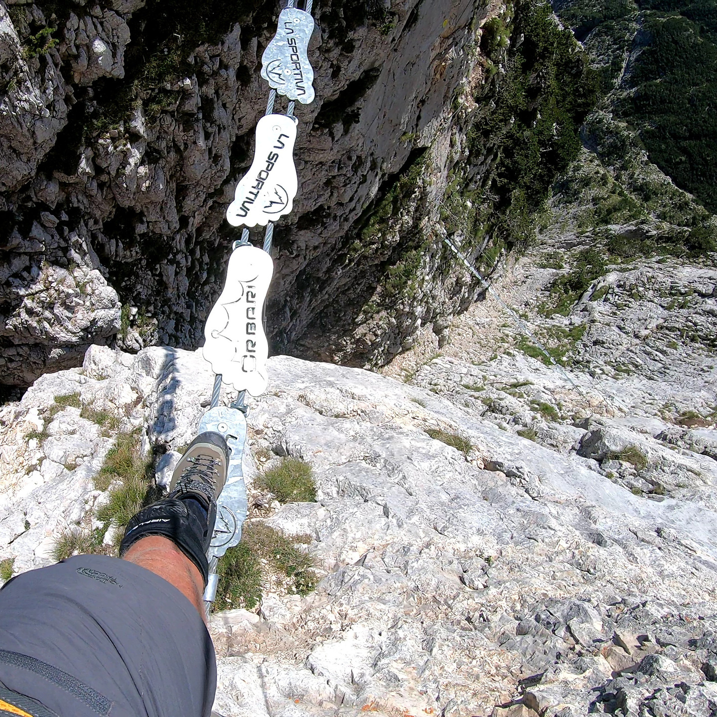 aquile-ferrata16.jpg