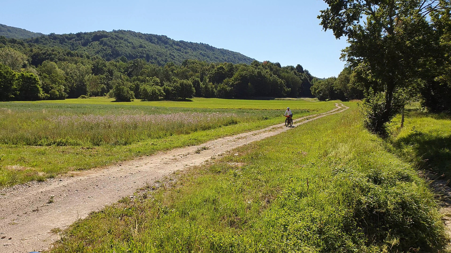buzetski-trail2.jpg
