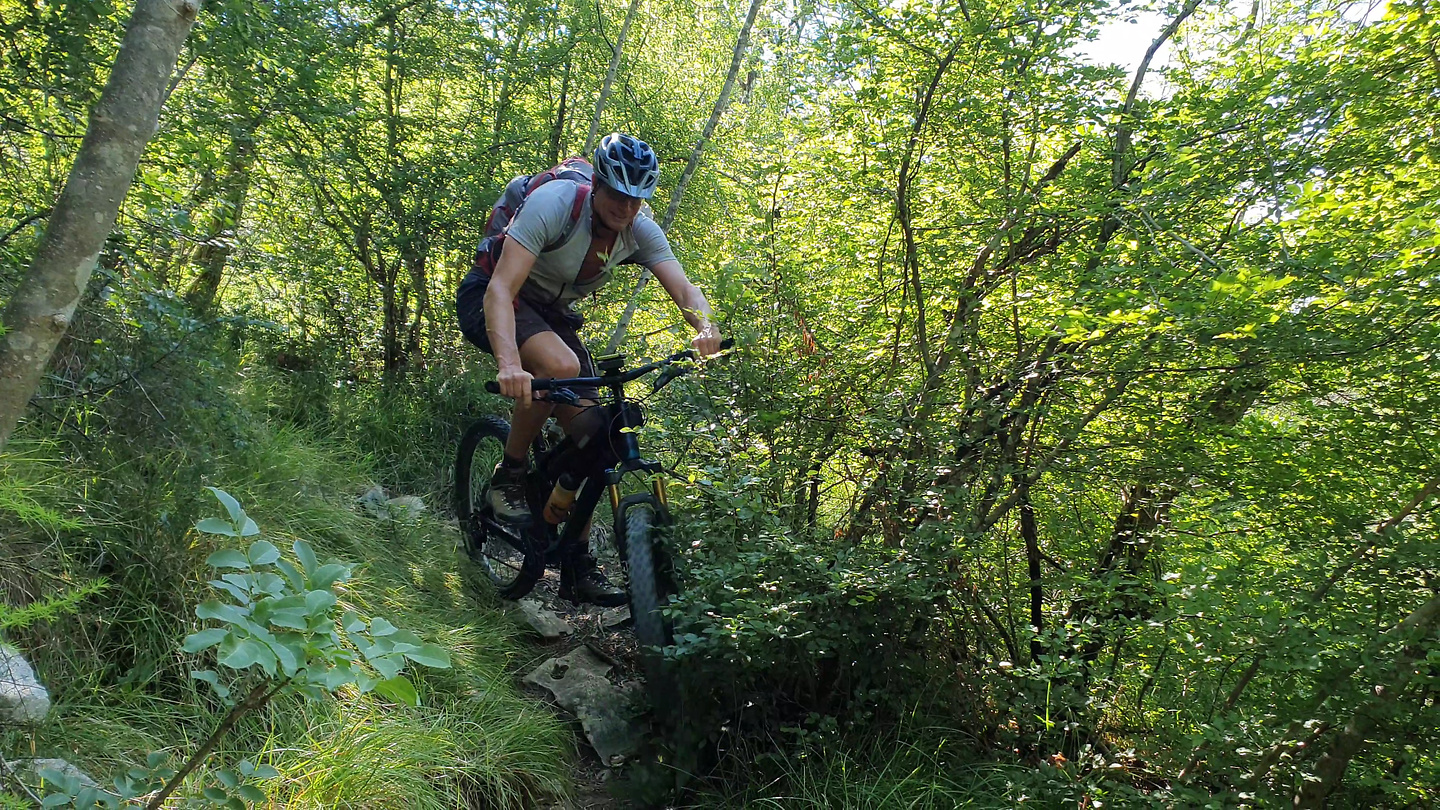 buzetski-trail4.jpg