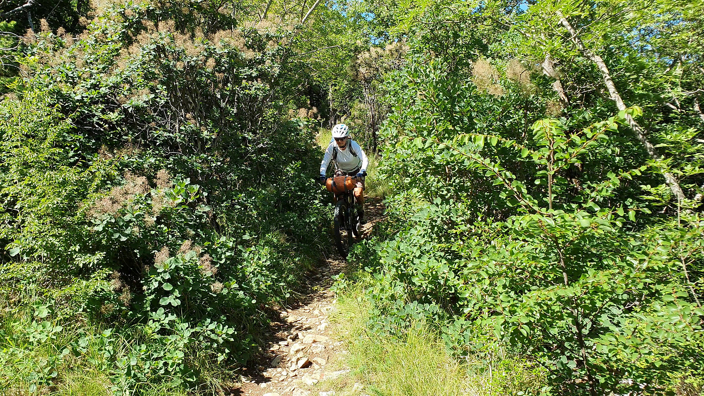 buzetski-trail5.jpg