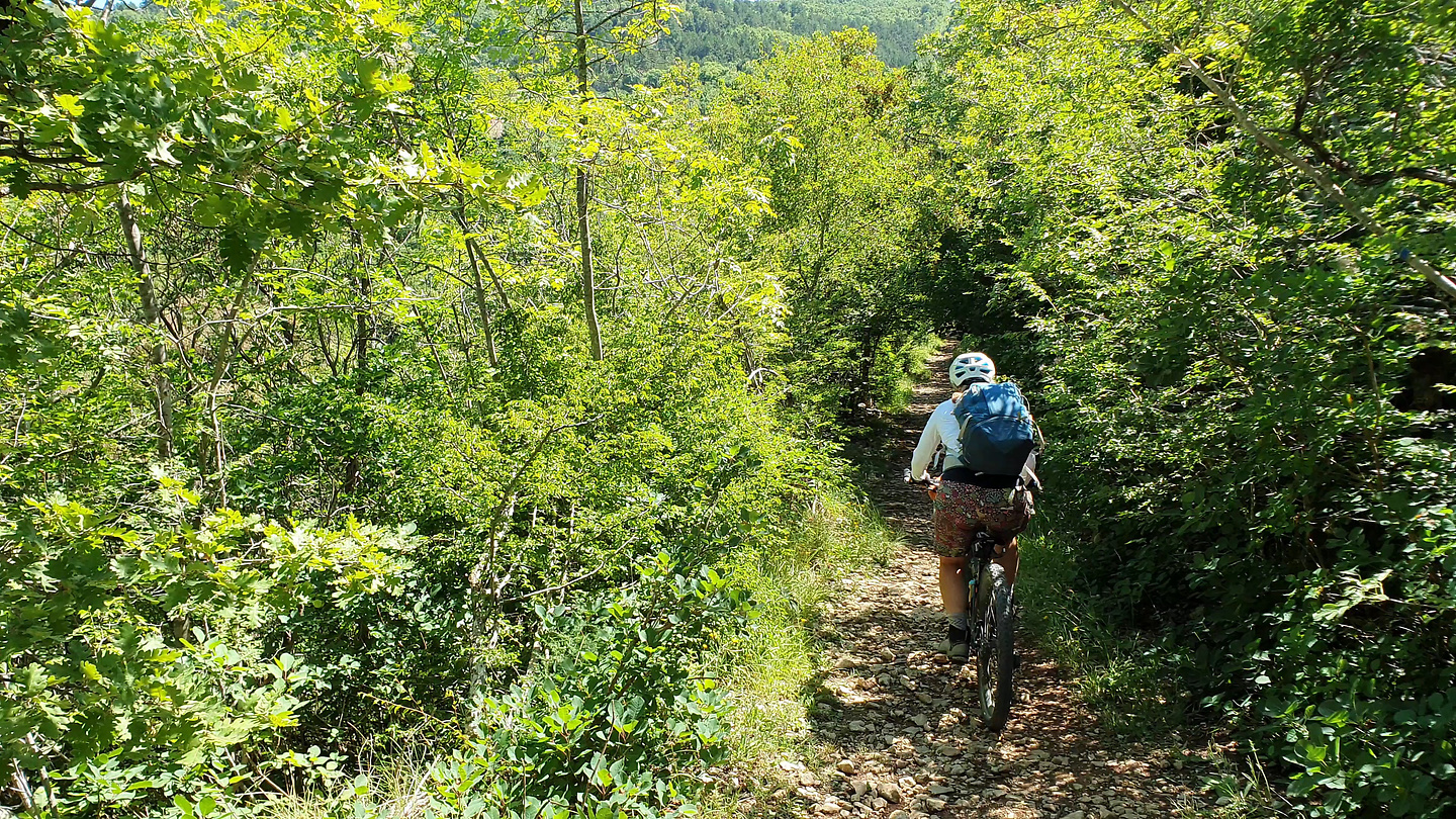 buzetski-trail6.jpg