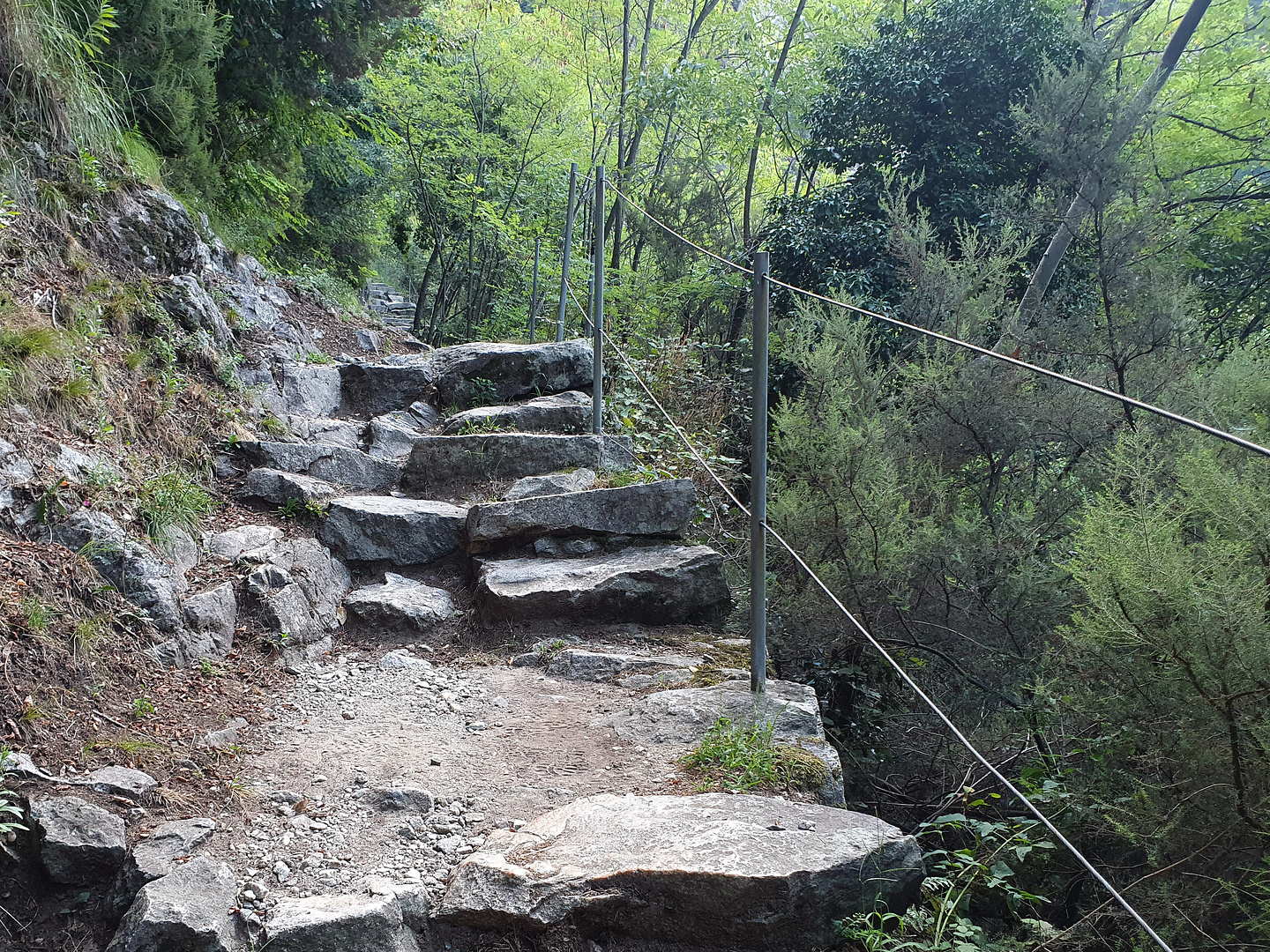 codera-stairs1.jpg