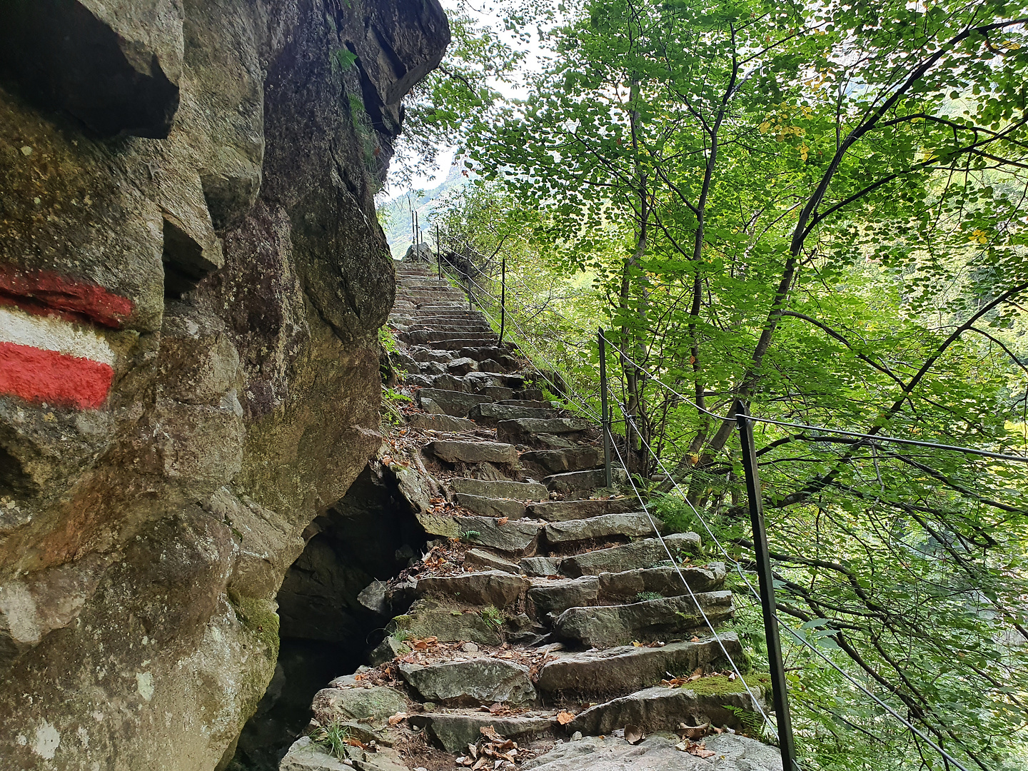 codera-stairs2.jpg