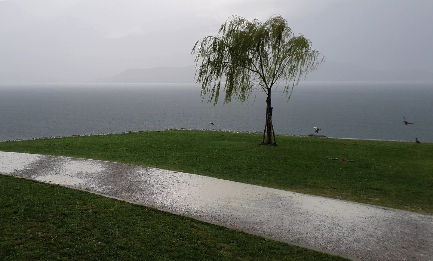 domaso-rain2.jpg