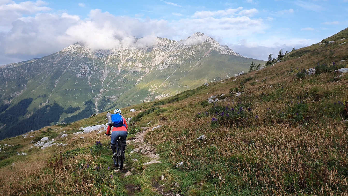 fiori-trail4.jpg