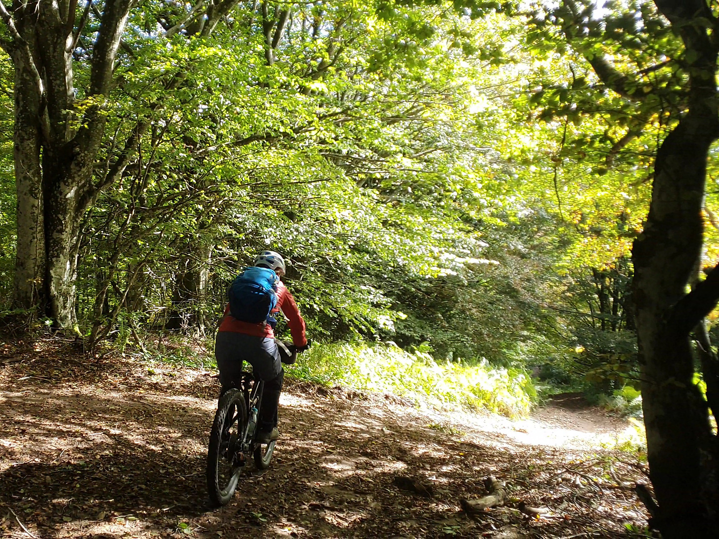 fumaiolo-trail1.jpg