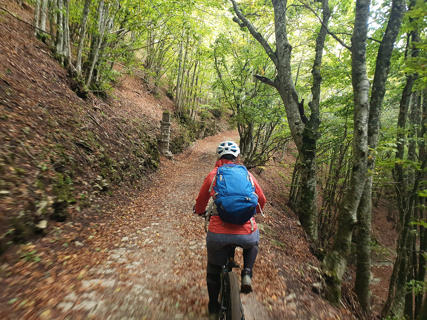 fumaiolo-trail3.jpg