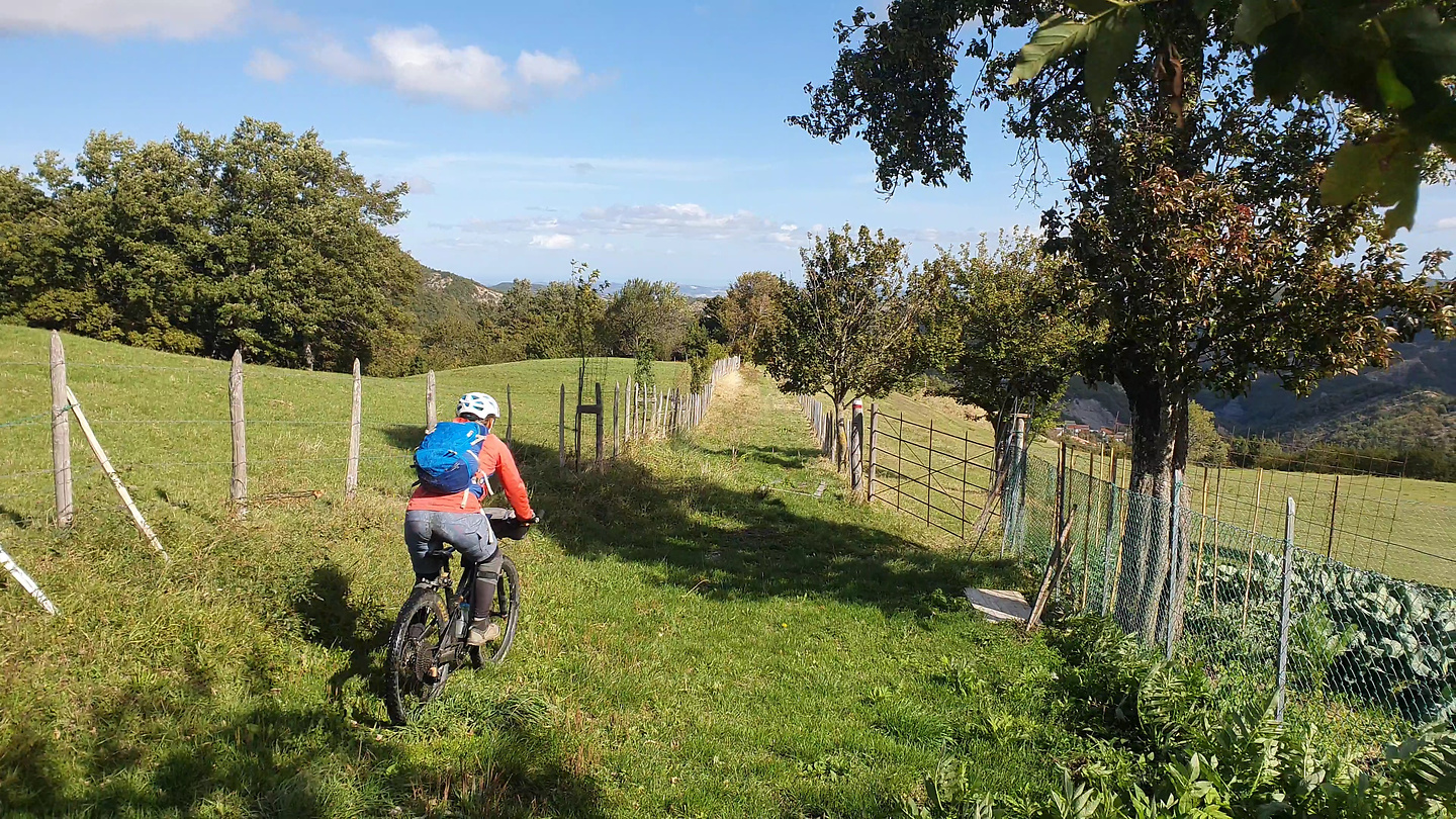 fumaiolo-trail4.jpg