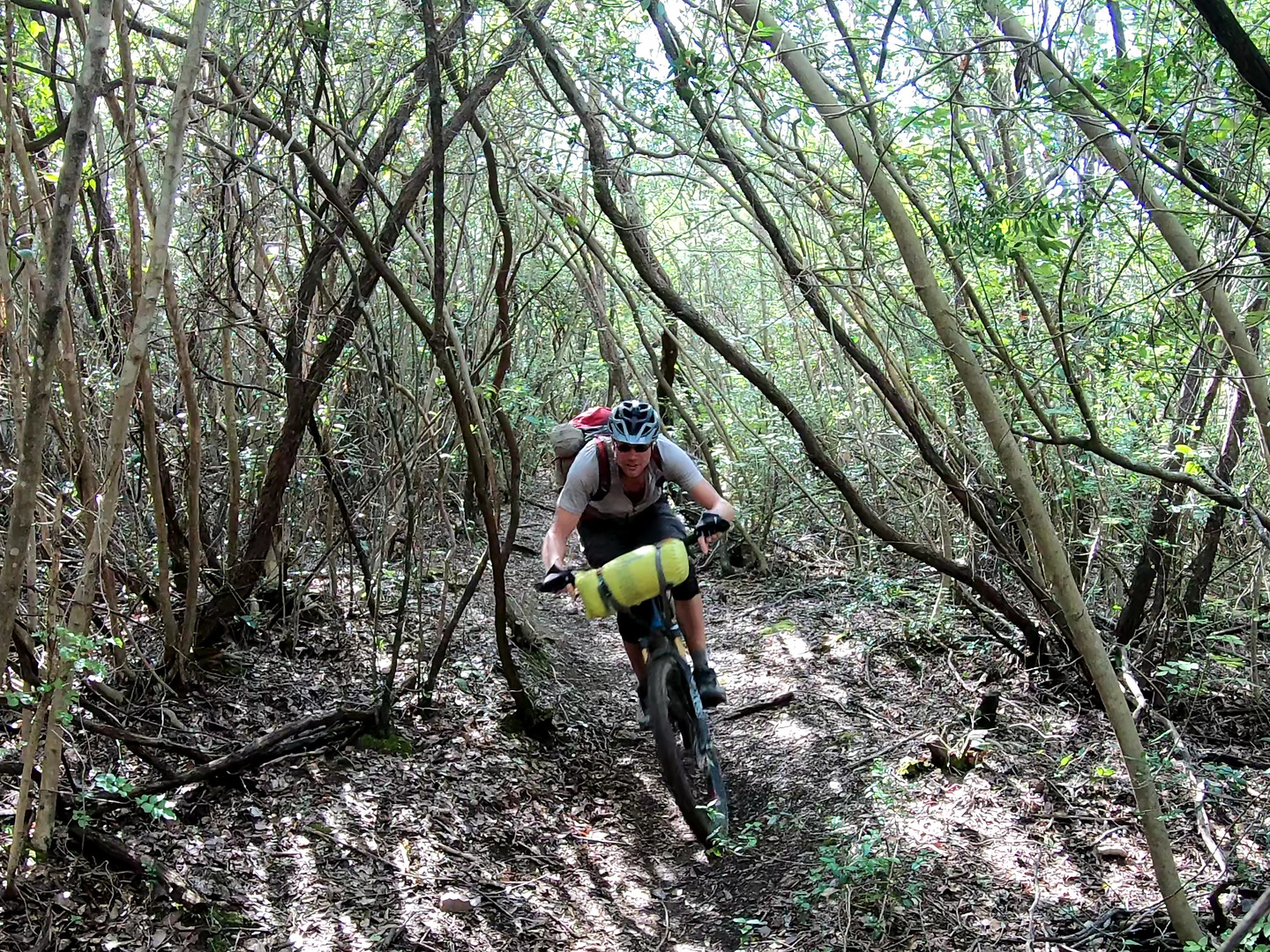 montioni-trail1.jpg