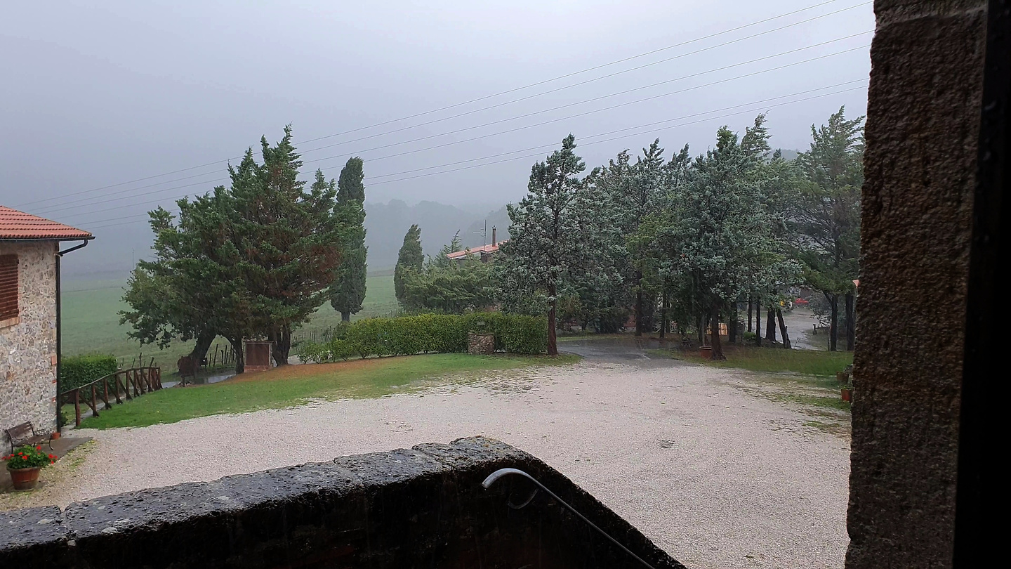 patra-rain2.jpg
