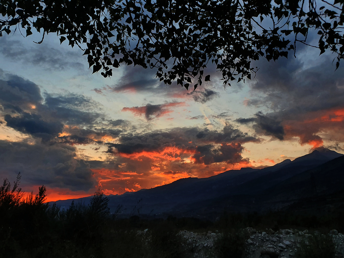 rhone-sunset.jpg