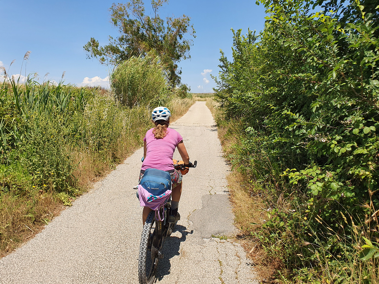 rome-cycleway1.jpg