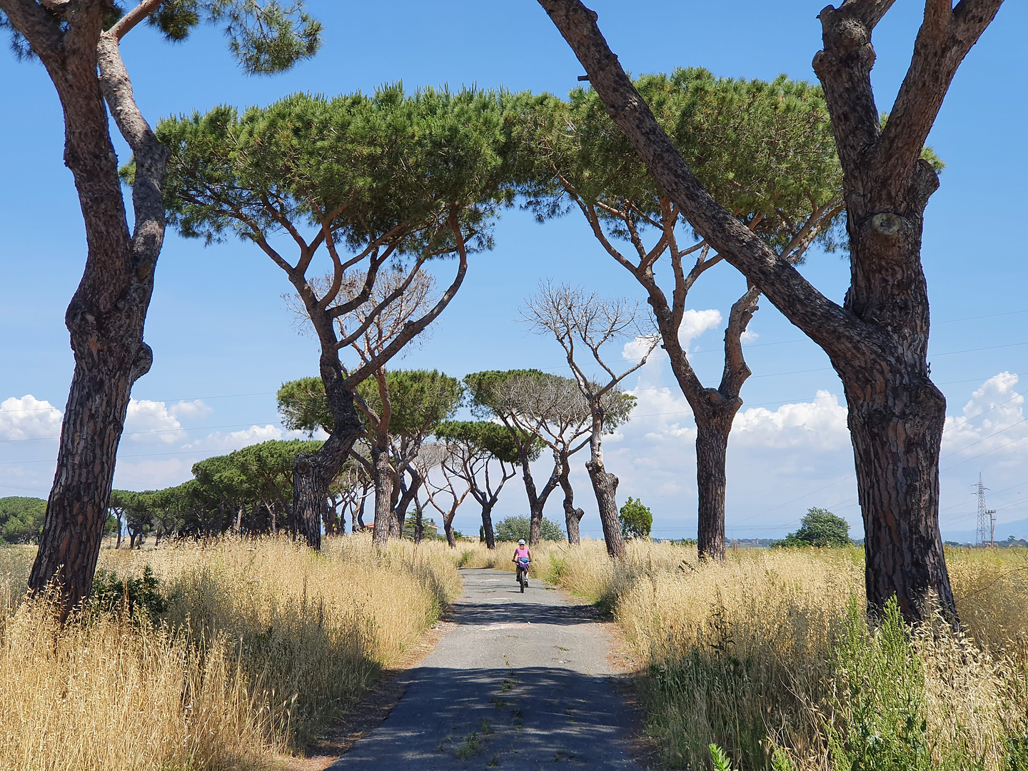 rome-cycleway2.jpg