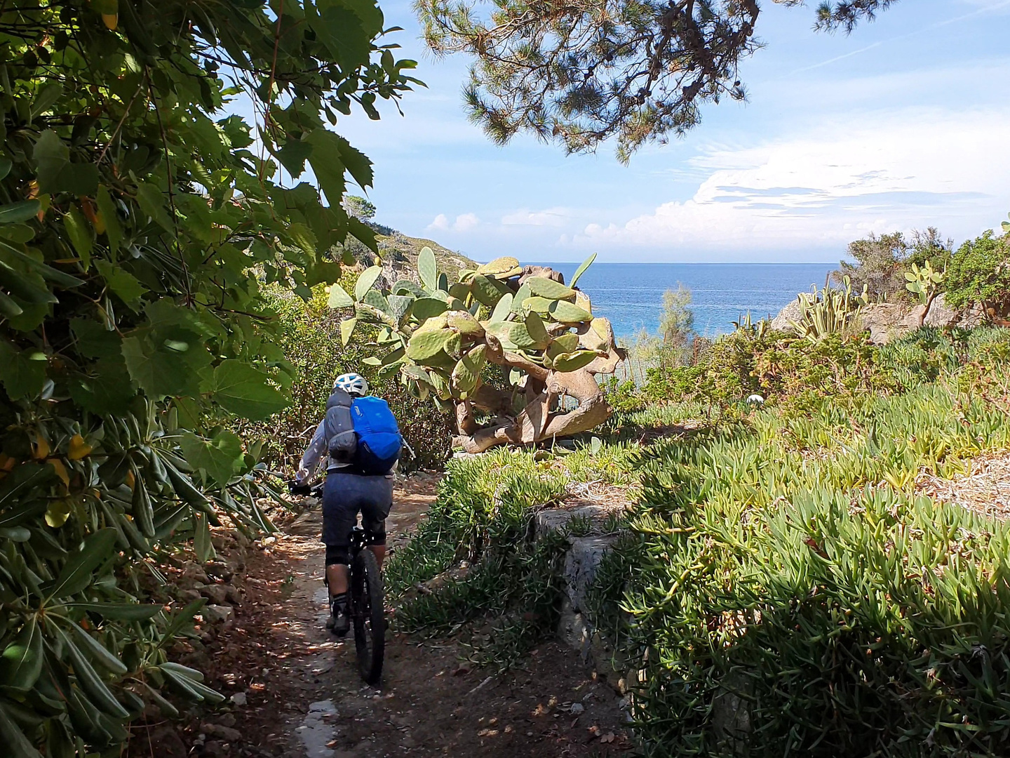 santandrea-trail4.jpg