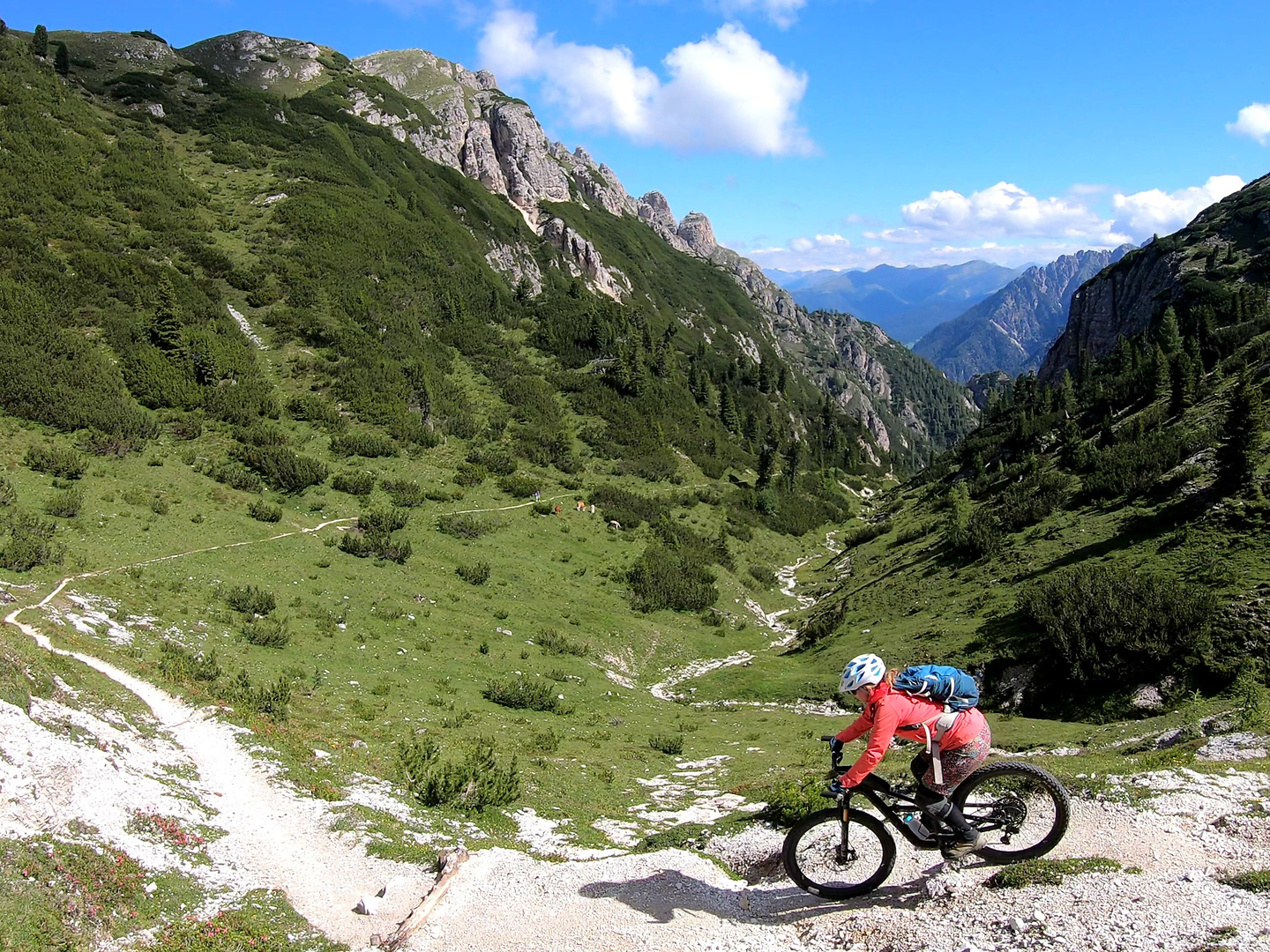 strudelkopf-trail3.jpg
