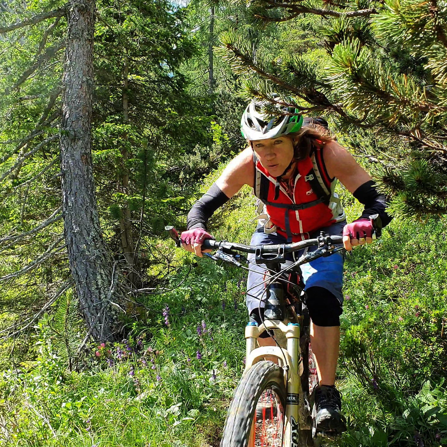 strudelkopf-trail7.jpg