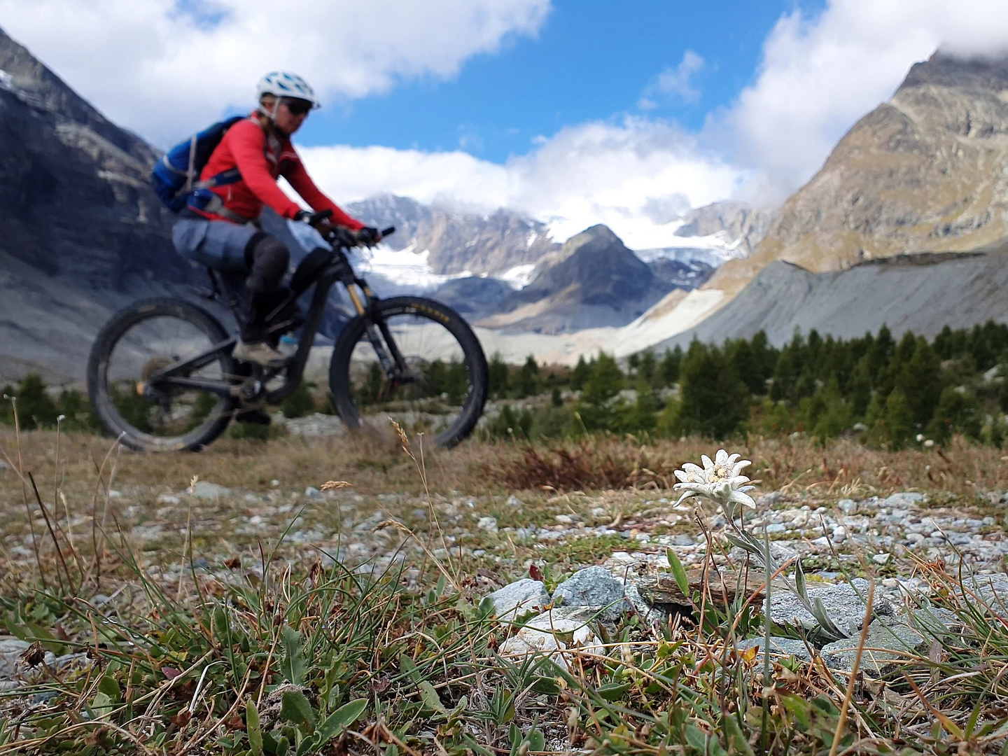 zermatt-zmutt5.jpg