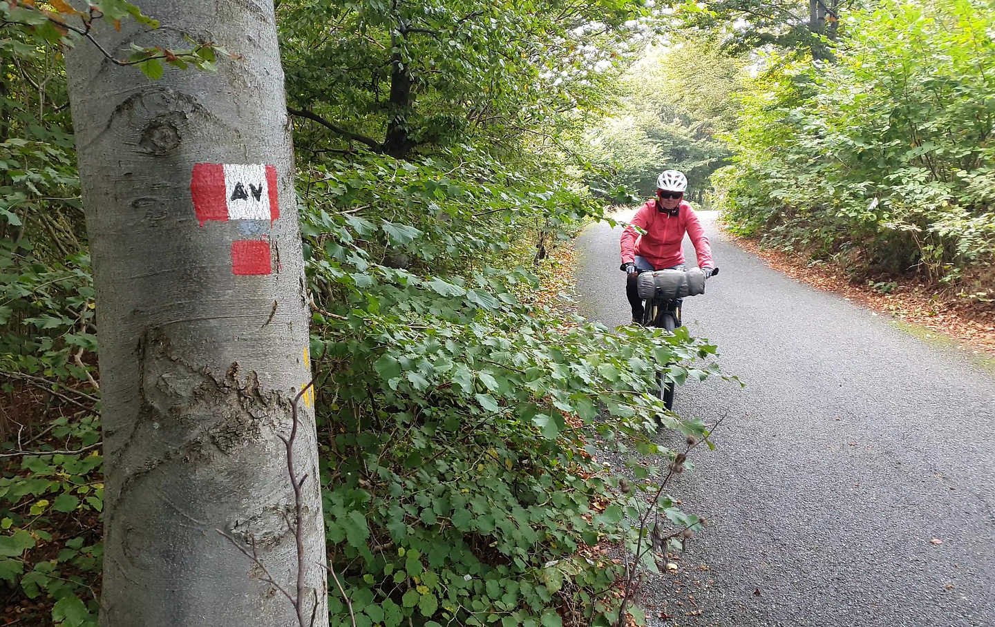 fahrrad im zug von rom münchen