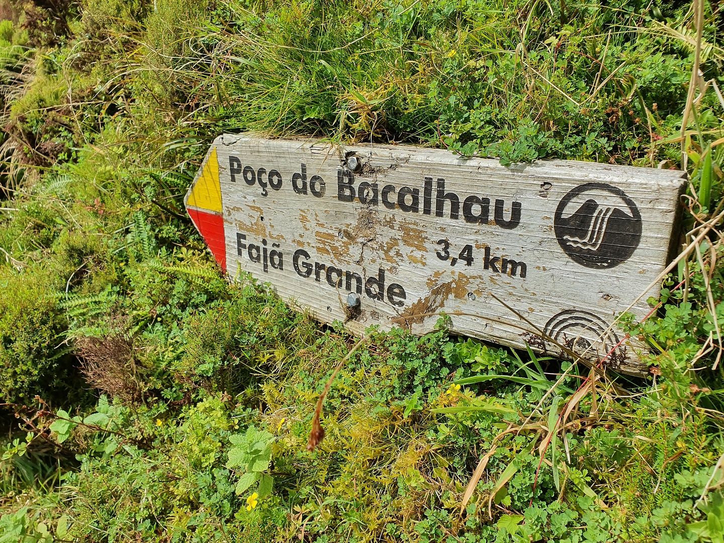 fajagrande-pr3trail0.jpg