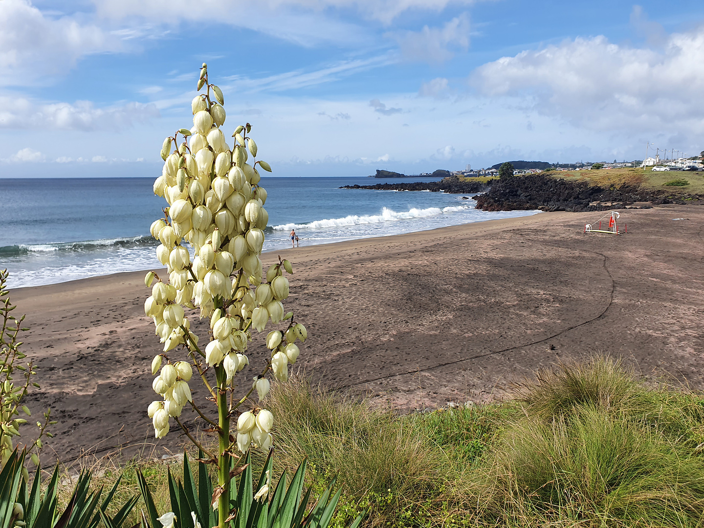 lagoa-beach1.jpg