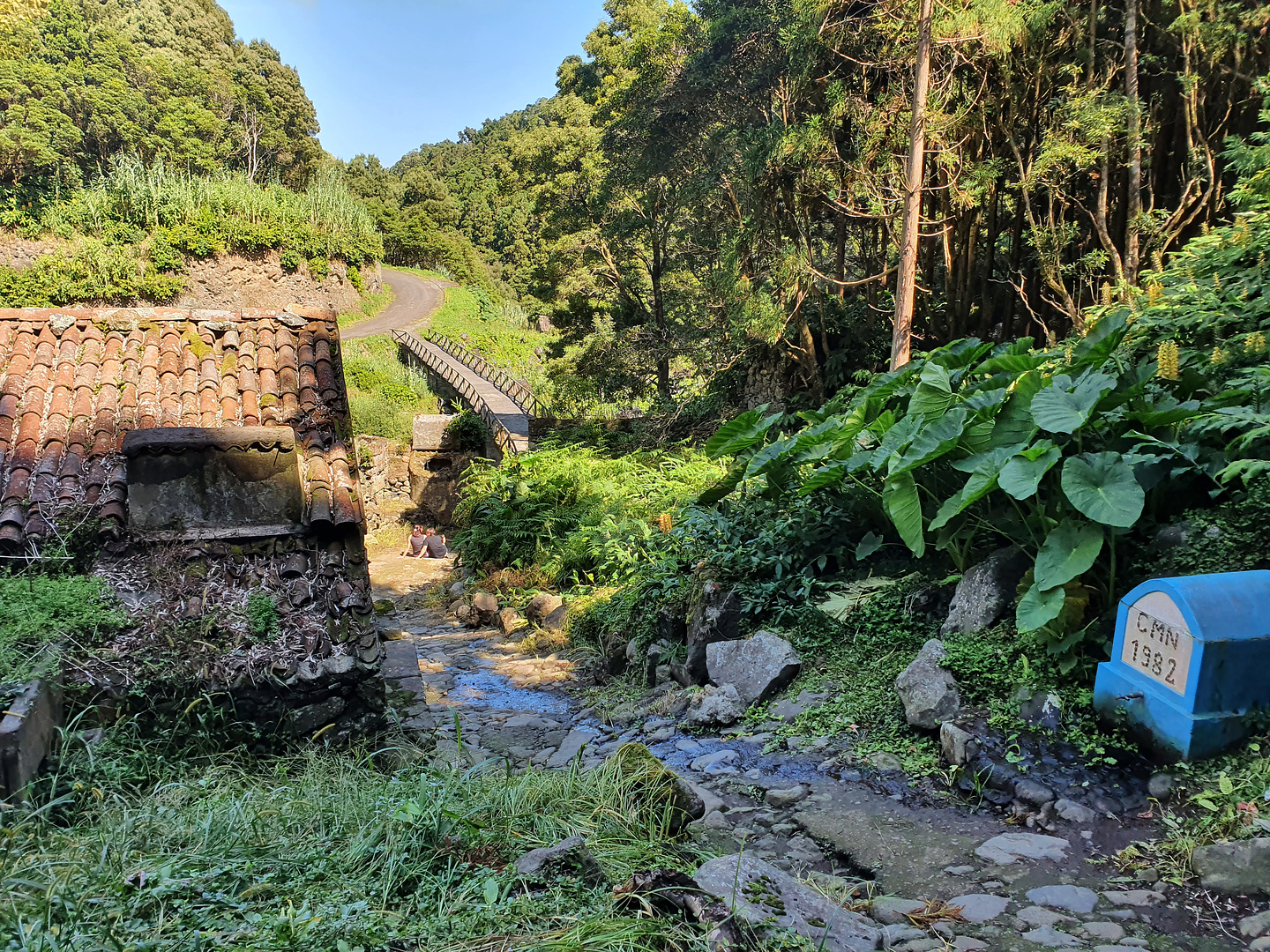 nordeste-road3.jpg