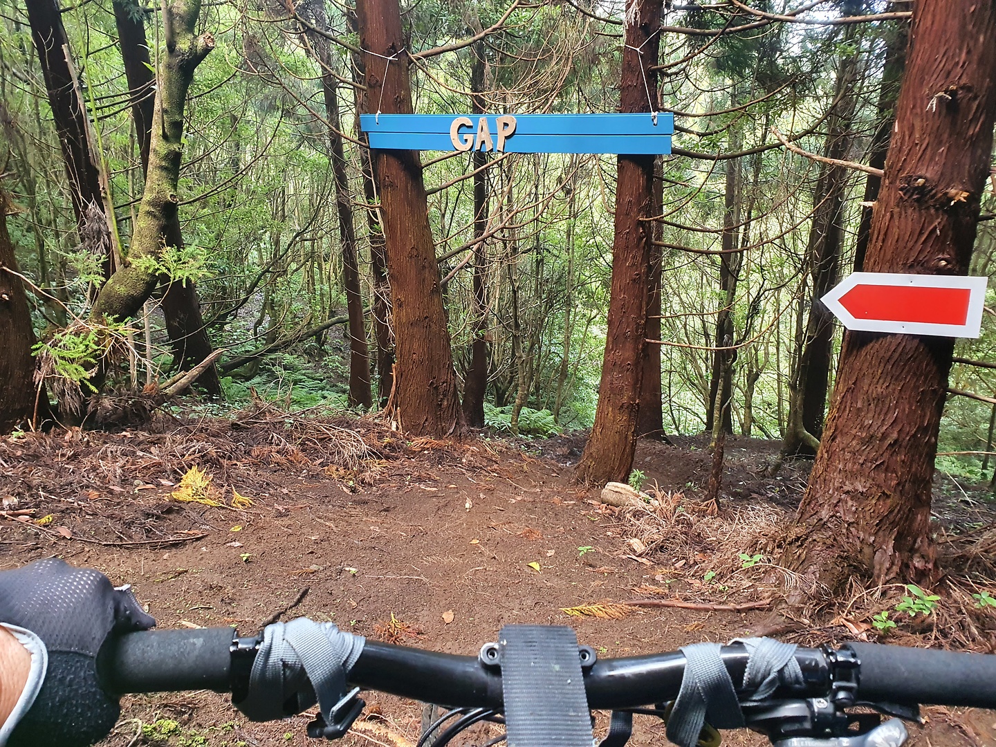 ribeirinha-bikepark3.jpg