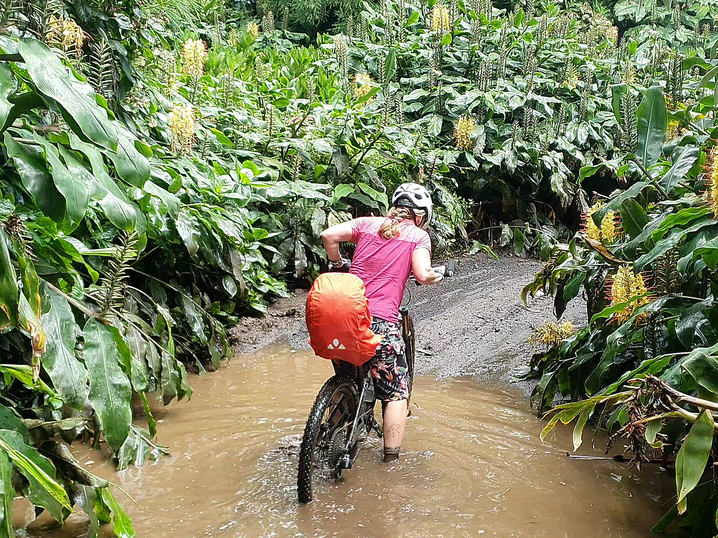 setecidades-uphill5.jpg