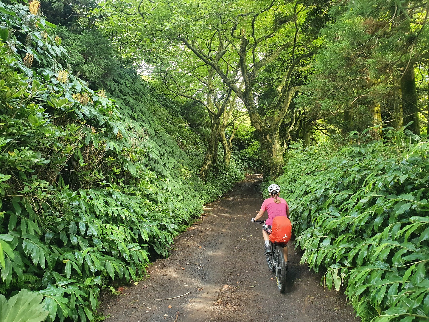 setecidades-uphill7.jpg