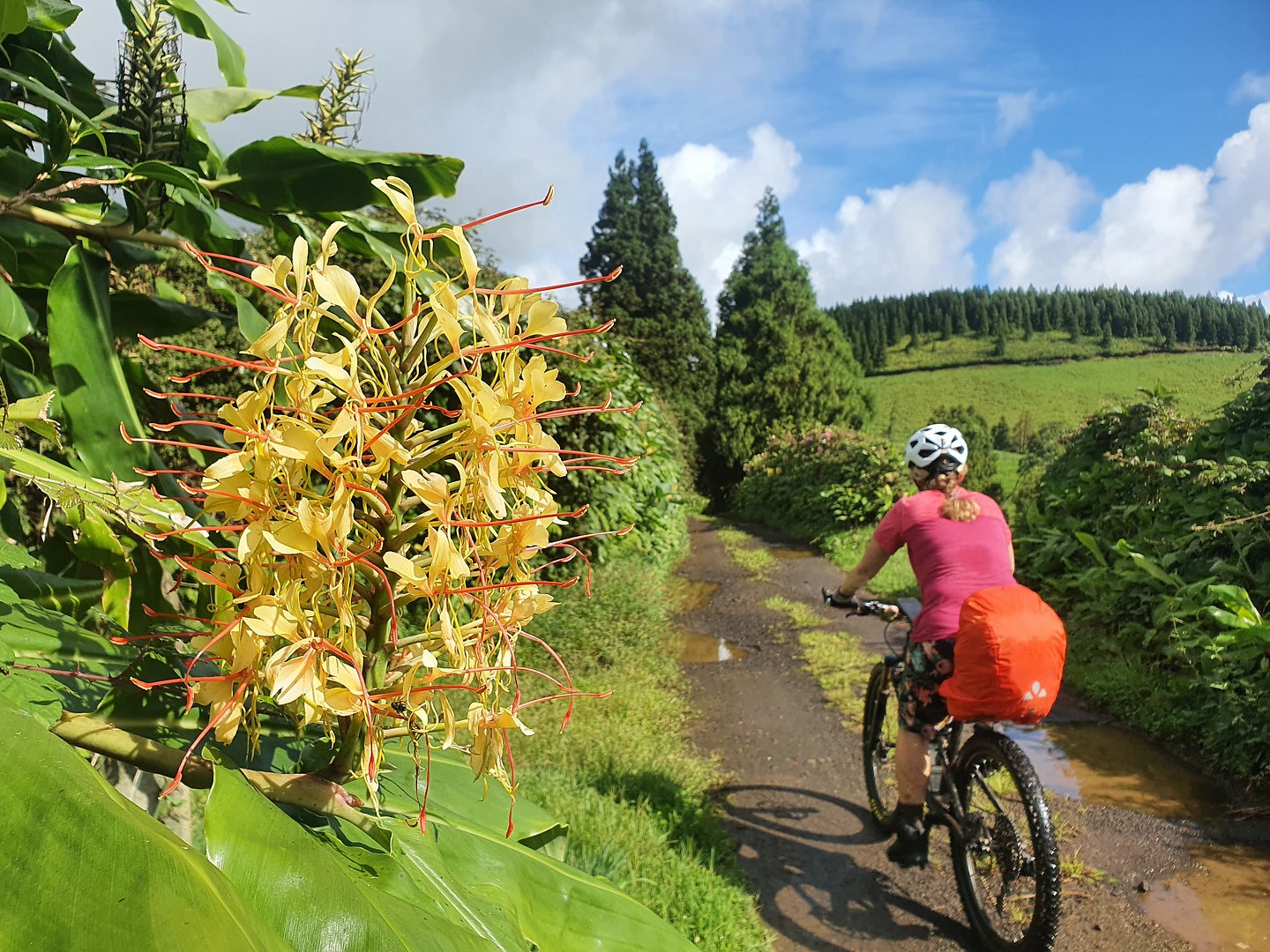 setecidades-uphill8.jpg