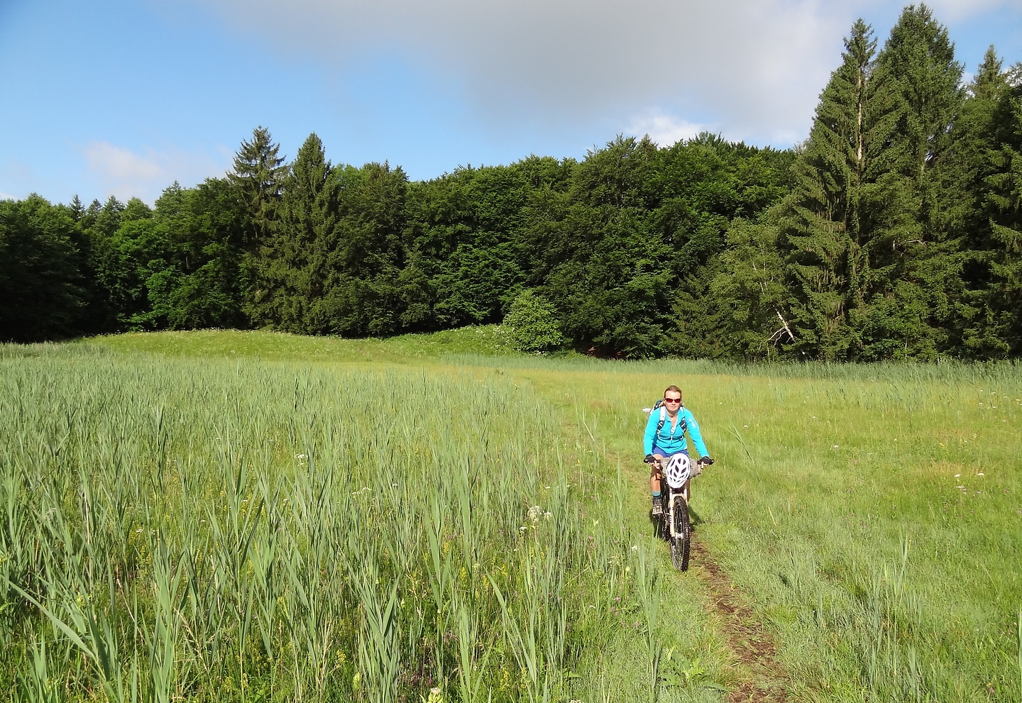 andechs-field.jpg