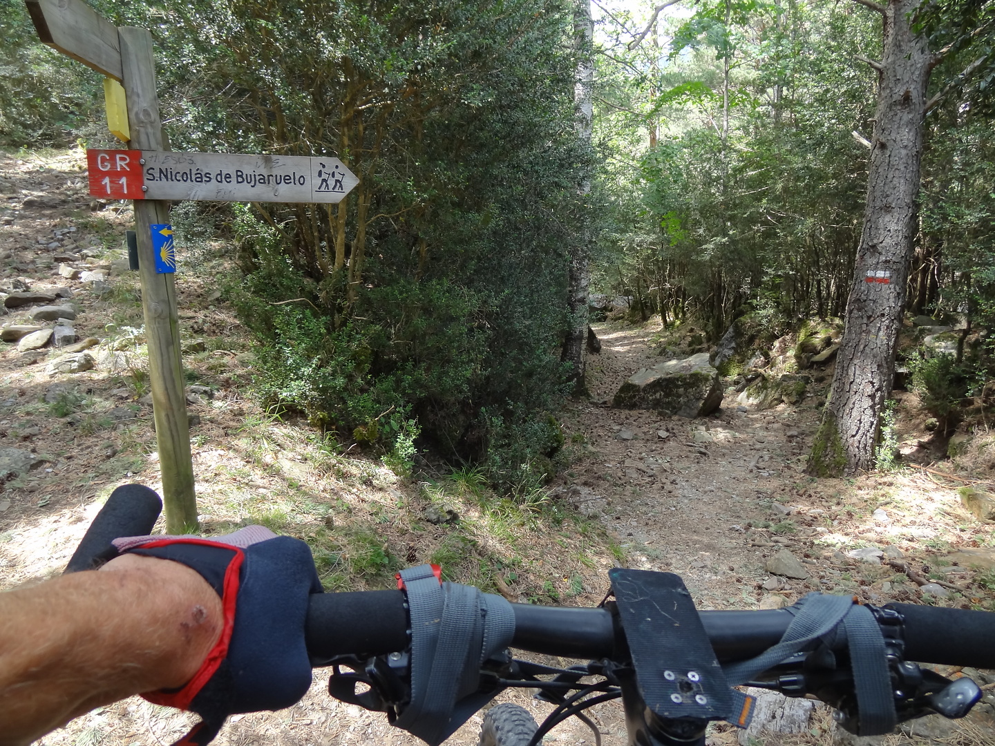 bujaruelo-trail8.jpg