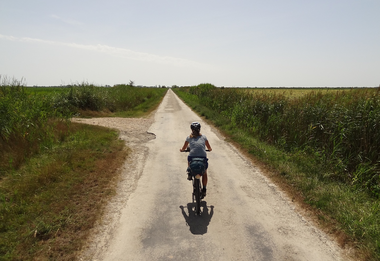 camargue-road1.jpg