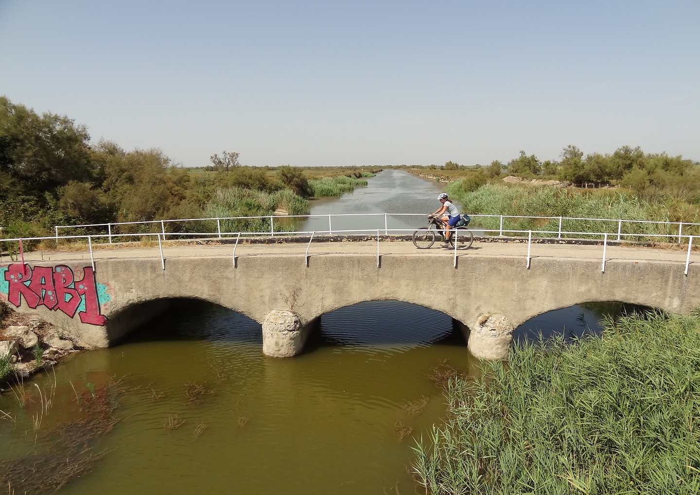 camargue-road2.jpg