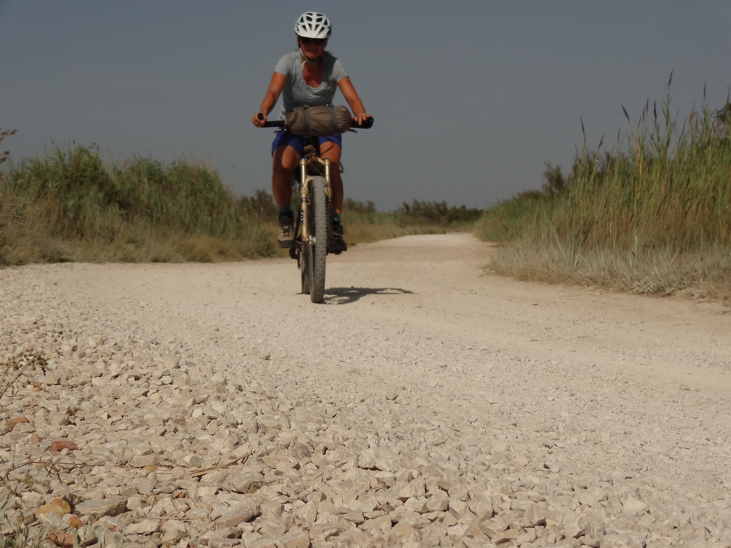 camargue-road3.jpg
