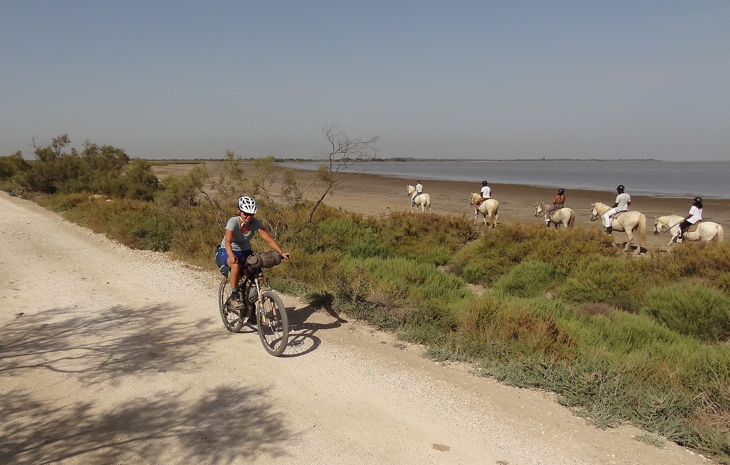 camargue-road4.jpg