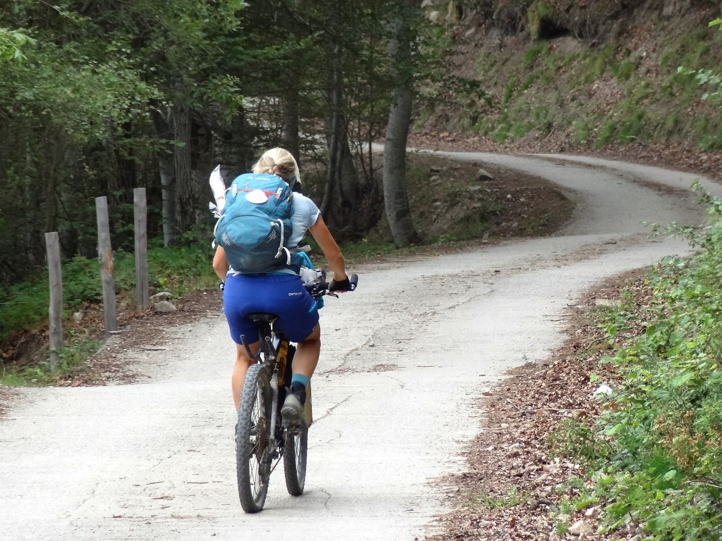 canigou-uphill1.jpg