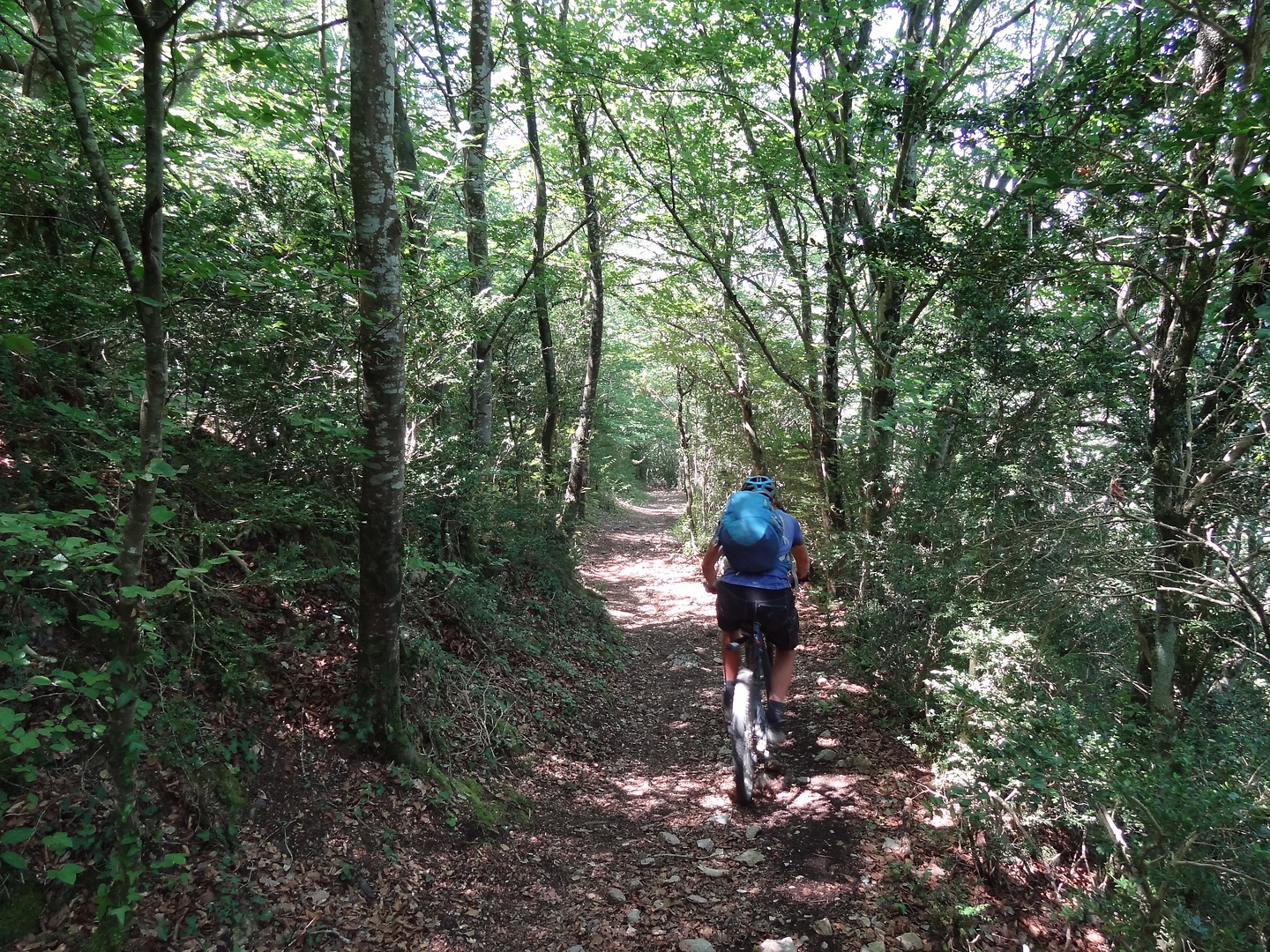 galamus-trail2.jpg