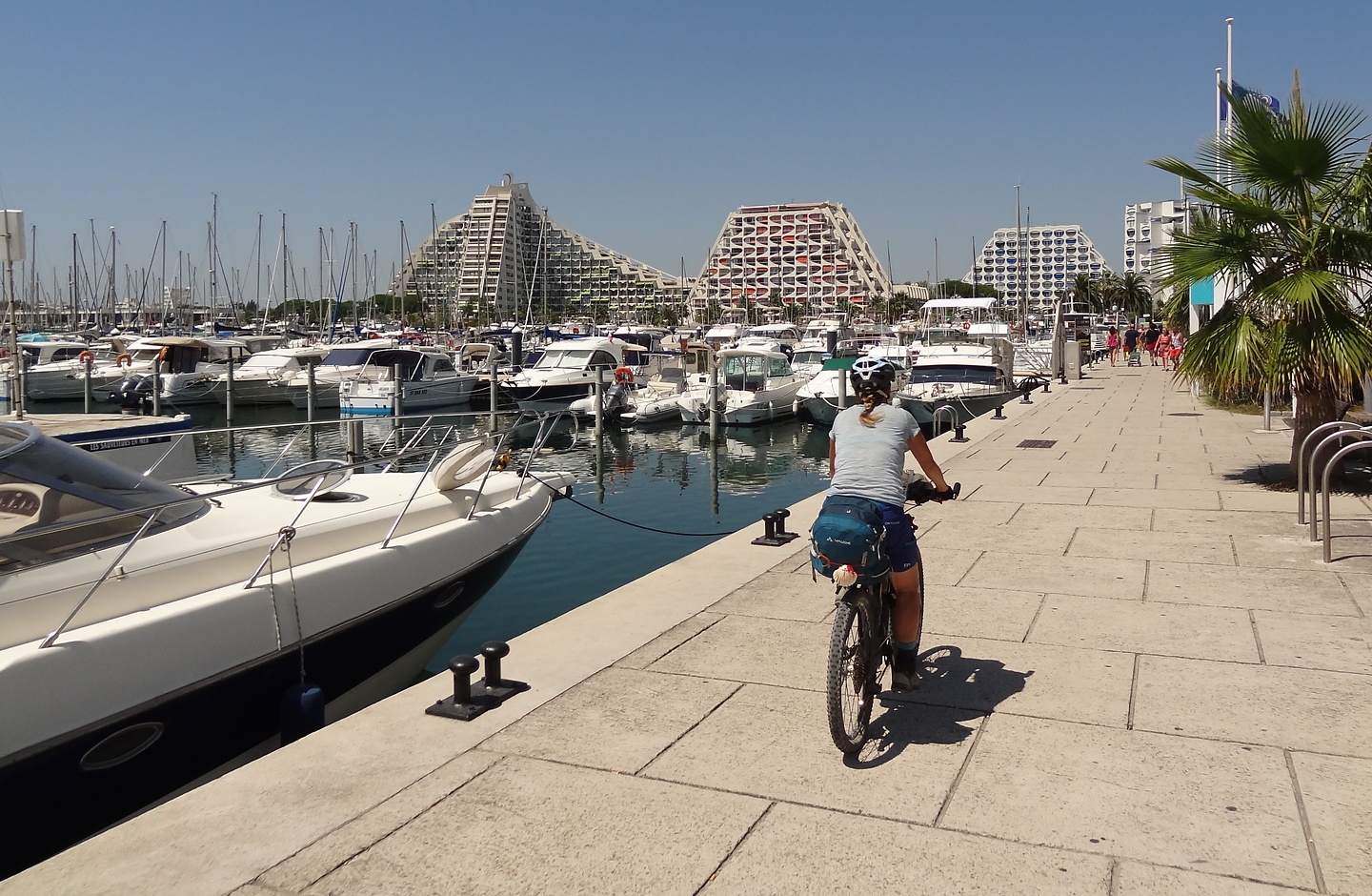 grandemotte-harbour.jpg