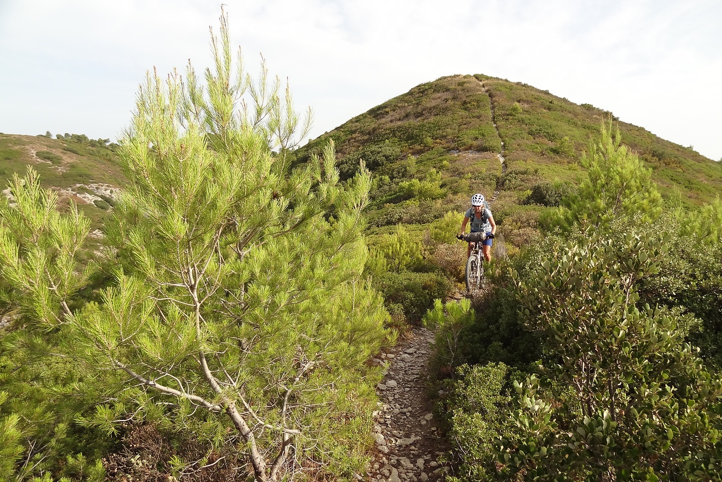 lesbaux-trail1.jpg