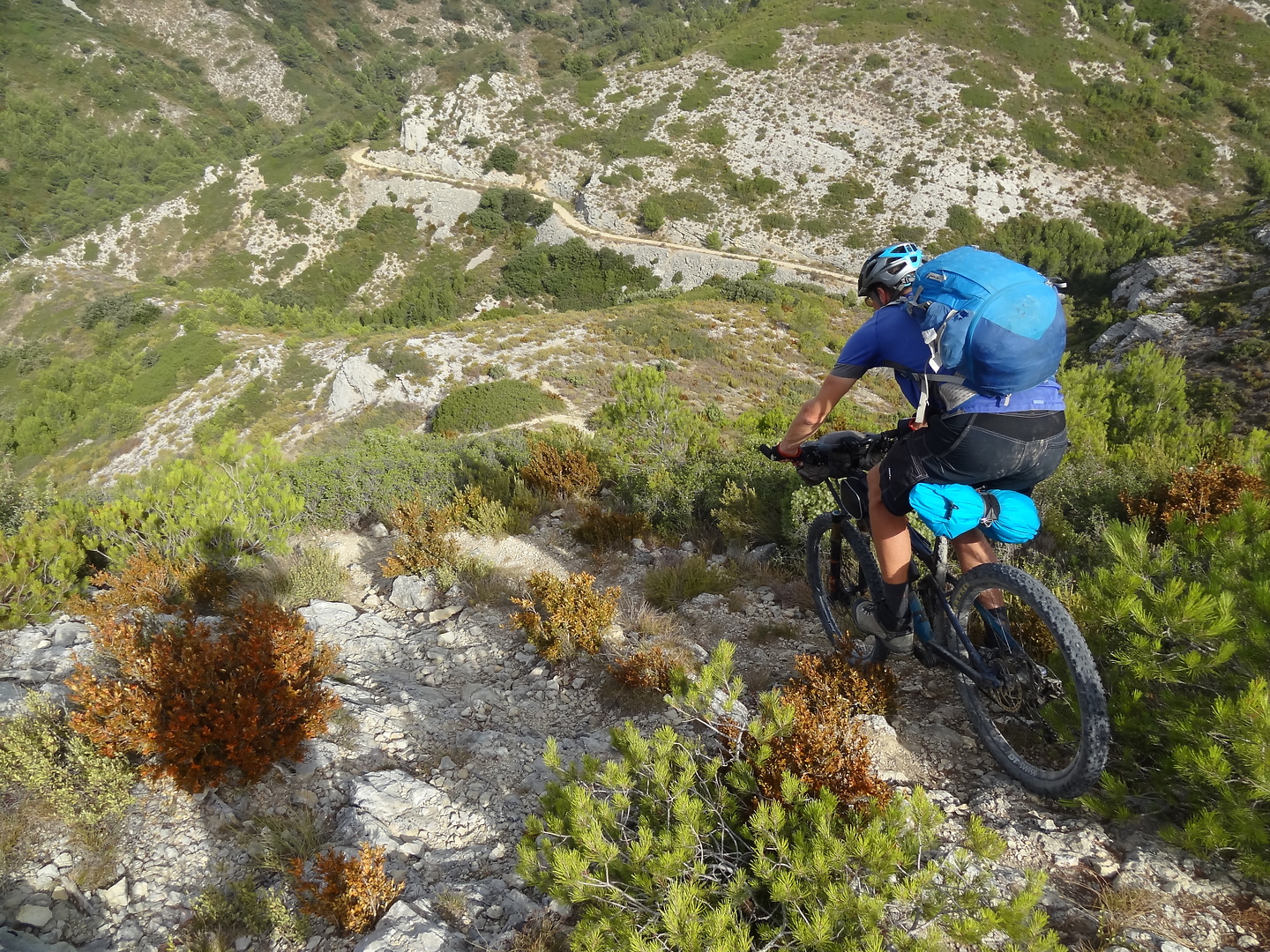 lesbaux-trail2.jpg