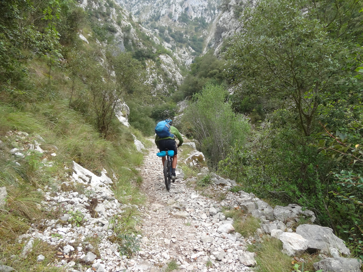 linares-trail2.jpg