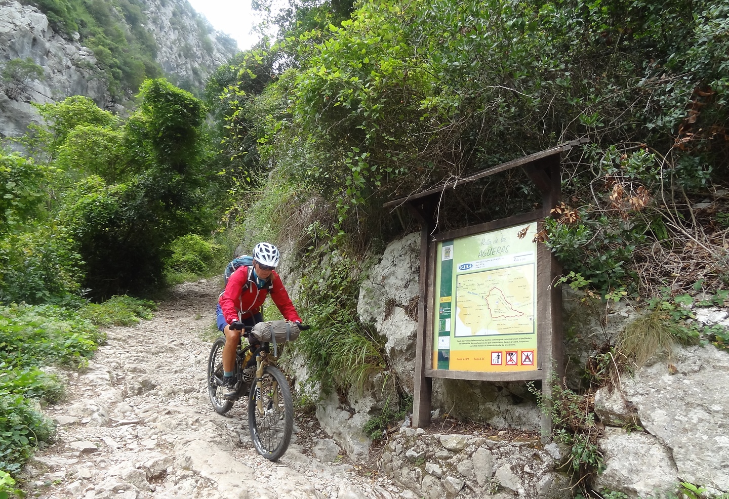 linares-trail5.jpg