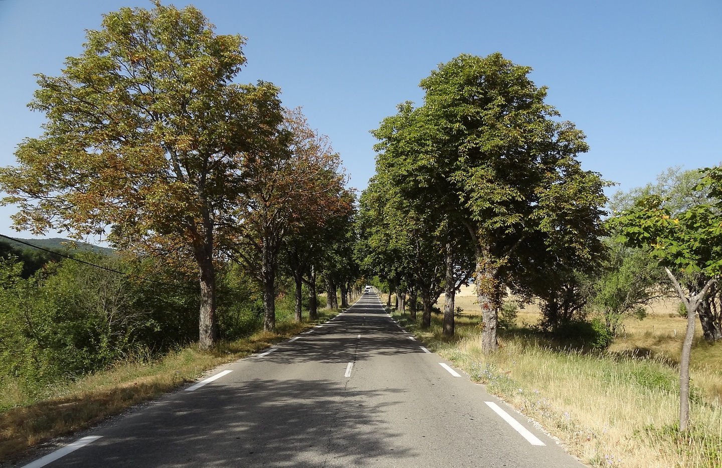 luberon-road5.jpg