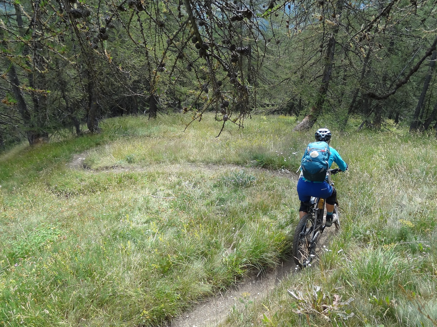 prenier-trail2.jpg