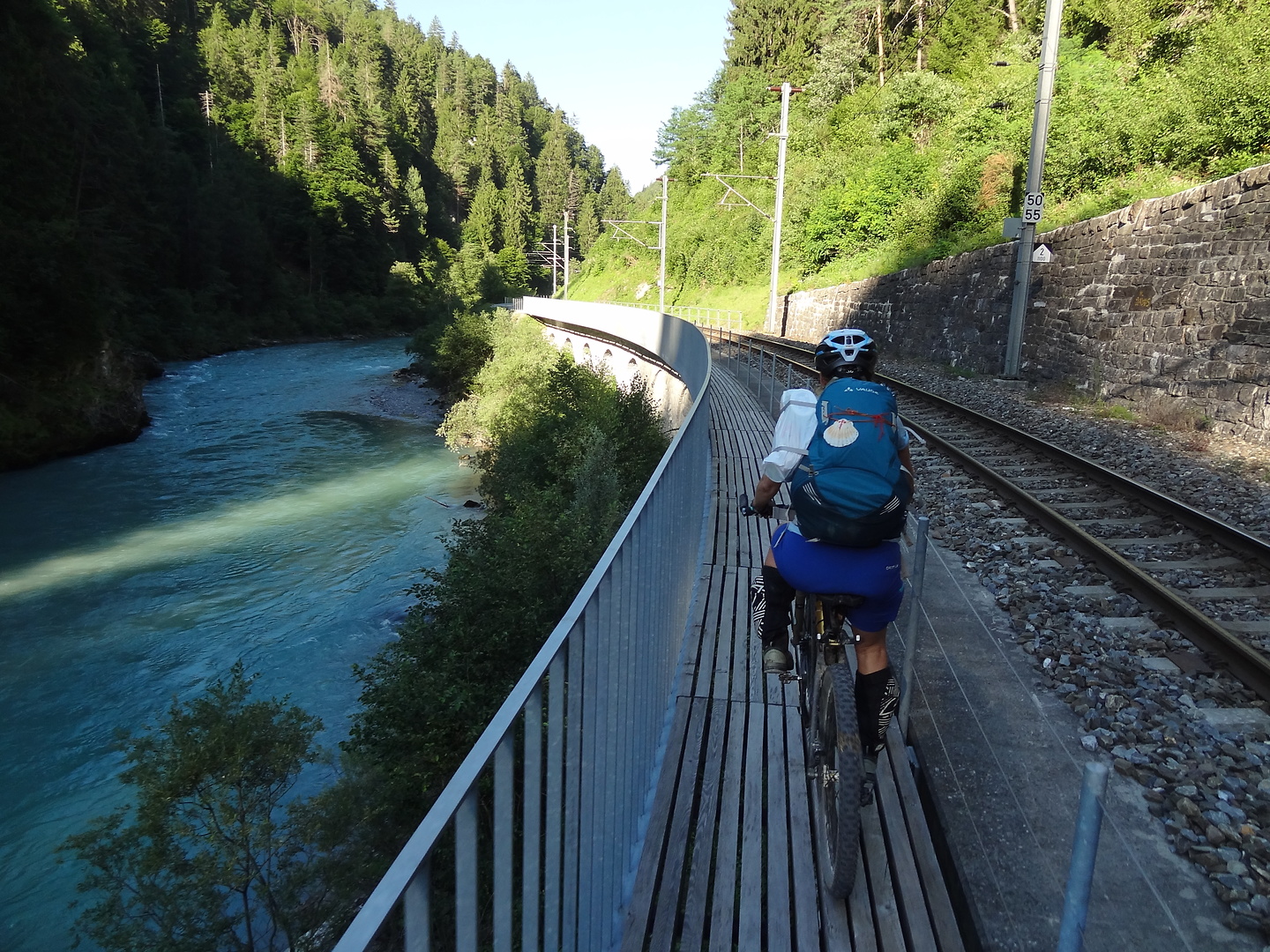 rhein-trainline.jpg