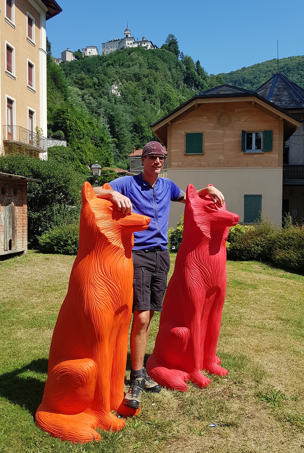 varallo-foxes.jpg
