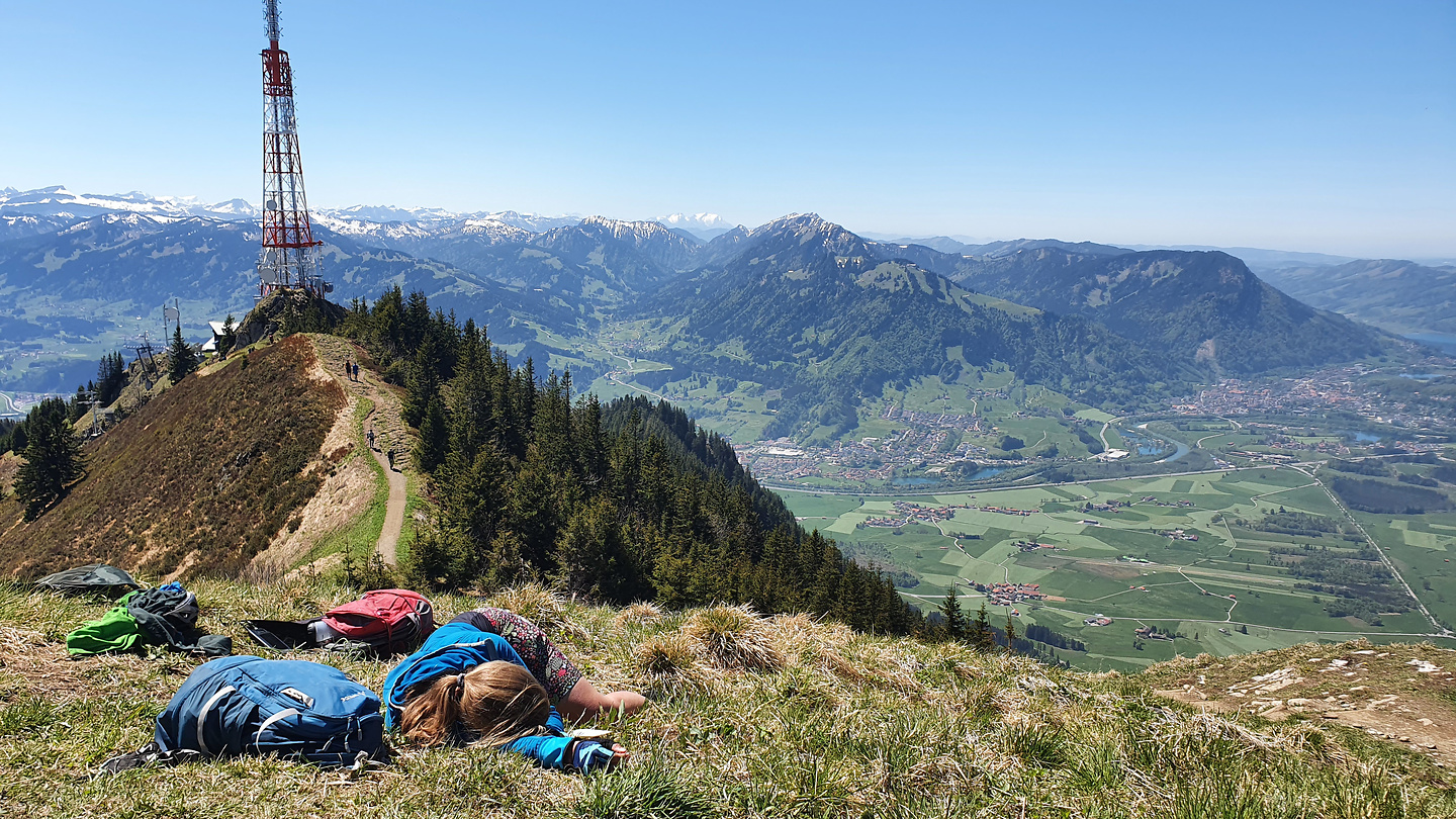 coronix-gruenten5.jpg
