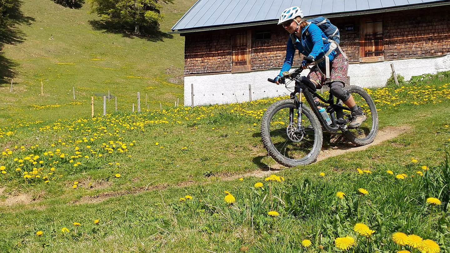 coronix-immhorntrail10.jpg