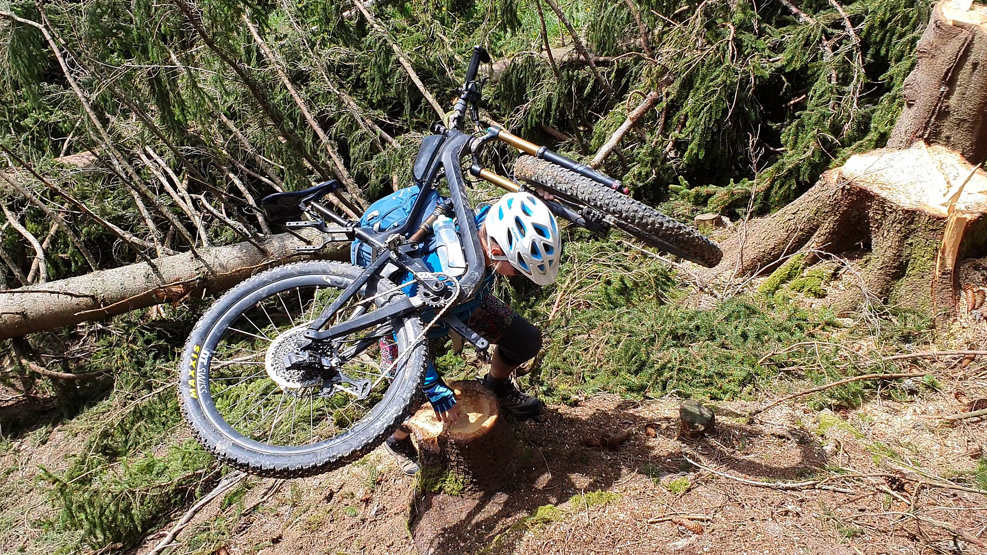 coronix-immhorntrail3.jpg