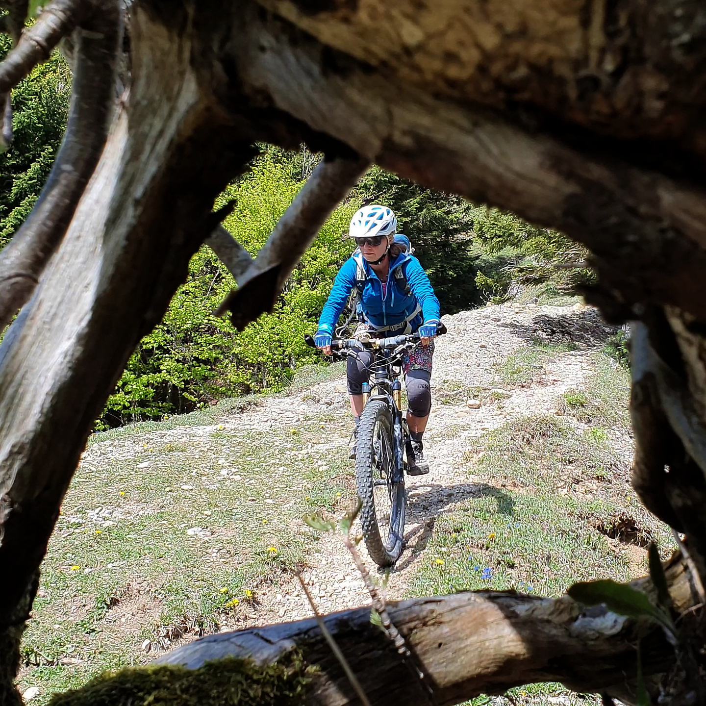 coronix-immhorntrail9.jpg